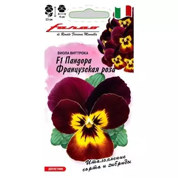Виола Виттрока Пандора Французская роза F1 Гавриш