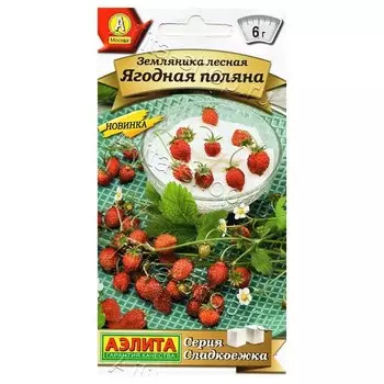 Земляника лесная Ягодная поляна Аэлита