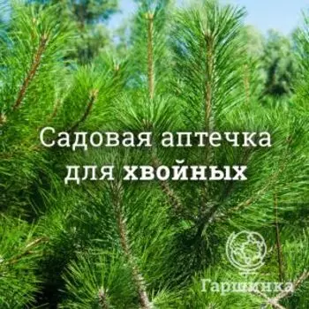 Аптечка для хвойных деревьев и кустарников №1