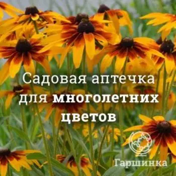 Аптечка для многолетних цветов