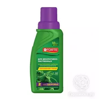 Bona Forte для декоративно-лиственных ЗДОРОВЬЕ 0,285 л