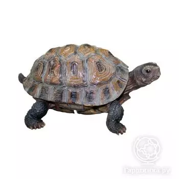 Черепаха средняя 14*33*24