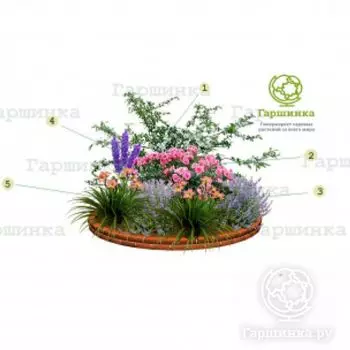 Цветник Ароматный