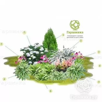 Цветник Нежный