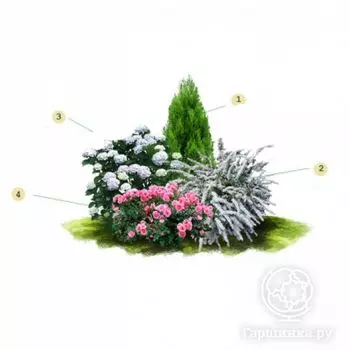 Цветник Пейзажный