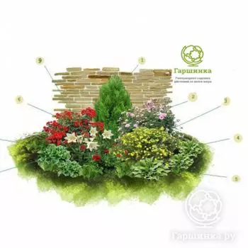 Цветник У каменной стены