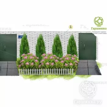 Цветник У подъезда