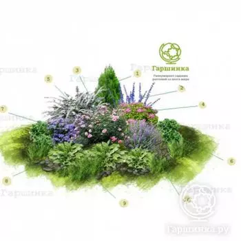 Цветник Яркий