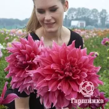 Георгина Эмори Паул