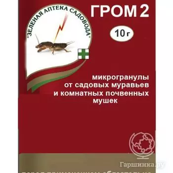 Гром - 2 10 гр