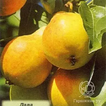 Груша Лада