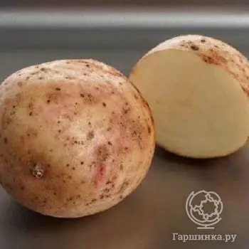 Картофель Аврора 2кг