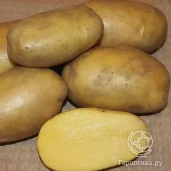 Картофель Гулливер 2кг
