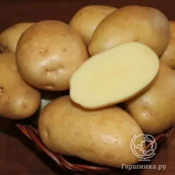 Картофель Никулинский 2кг