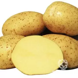 Картофель Ривьера 2кг