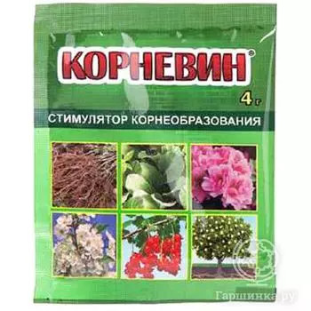 Корневин 4г