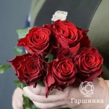 Роза Родос чайно-гибридная