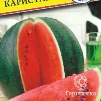 Семена Арбуз "Каристан" F1 3 шт, Престиж