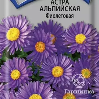 Семена Астра альпийская Фиолетовая 0,04, Поиск