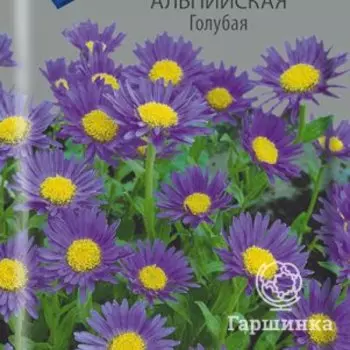 Семена Астра альпийская Голубая 0,04, Поиск