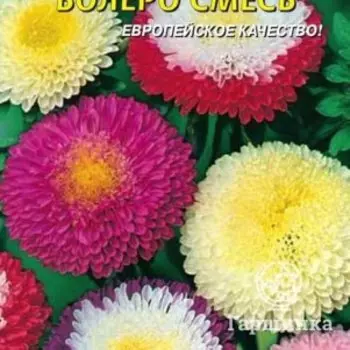 Семена Астра Болеро, смесь 0,2 гр Плазменные семена