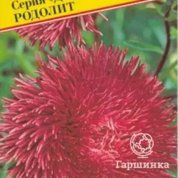 Семена Астра "Джуэл" Родолит 0,3 гр, Престиж