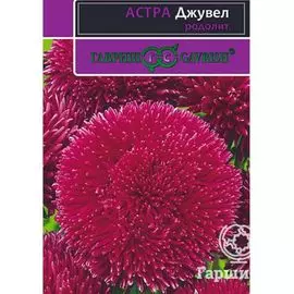 Семена Астра Джувел Родолит (Гавриш), 0,1г серия Эксклюзив