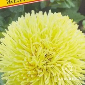 Семена Астра "Джузл" Желтый 0,3 гр, Престиж