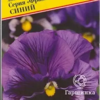 Семена Астра "Гном" Смесь всех цветов 0,3 гр, Престиж