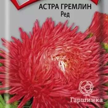 Семена Астра гремлин Ред 0,3, Поиск