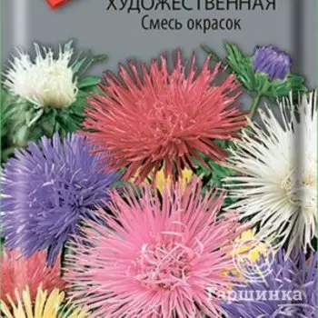 Семена Астра художественная Смесь окрасок 0,3, Поиск