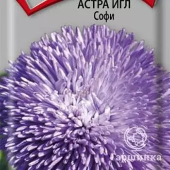 Семена Астра игл Софи 0,3, Поиск