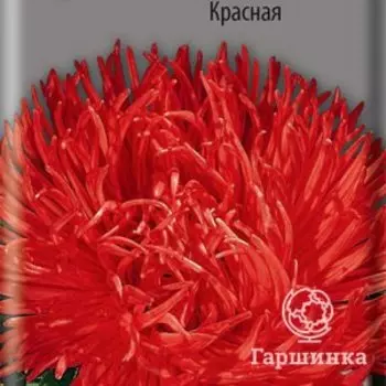 Семена Астра коготковая Красная 0,3, Поиск