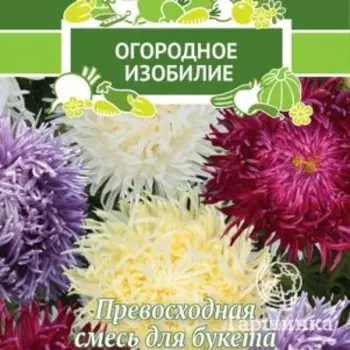 Семена Астра коготковая Русская краса 0,3, Поиск
