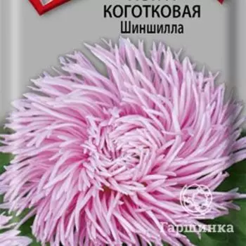 Семена Астра коготковая Шиншилла 0,3, Поиск