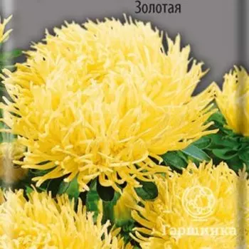 Семена Астра коготковая Золотая 0,3, Поиск