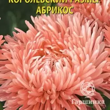 Семена Астра Королевский размер, абрикос 0,1г, Плазменные семена