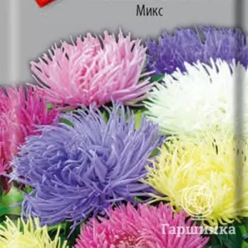 Семена Астра Павлова Микс 0,3, Поиск