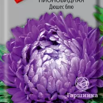 Семена Астра пионовидная Дюшес блю 0,3, Поиск