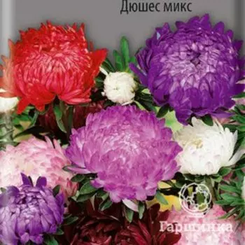 Семена Астра пионовидная Дюшес микс 0,3, Поиск