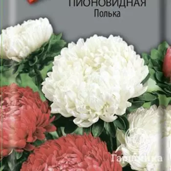 Семена Астра пионовидная Полька 0,3, Поиск