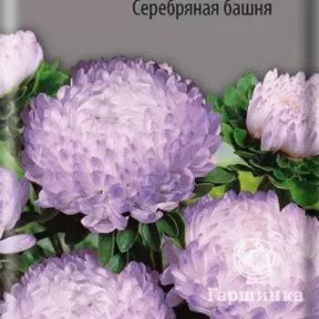 Семена Астра пионовидная Серебряная башня 0,3, Поиск