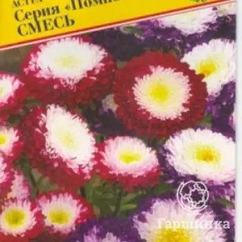 Семена Астра "Помпонная" Смесь 0,3 гр, Престиж