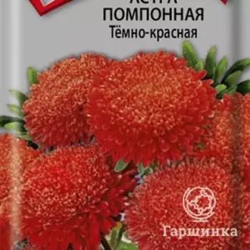 Семена Астра помпонная Темно-красная 0,3, Поиск