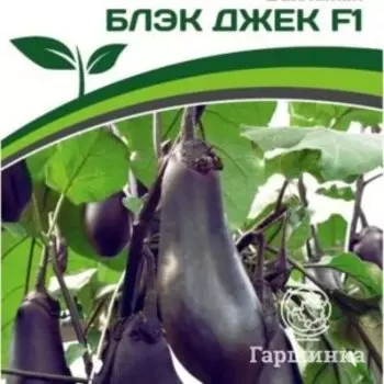 Семена Баклажан Блэк Джек F1 10 шт. Партнер