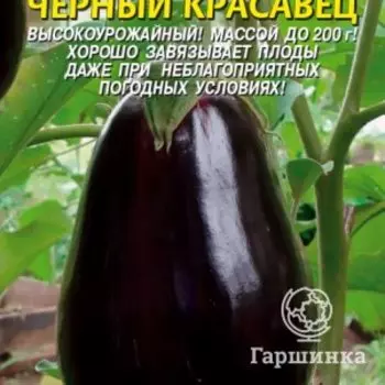 Семена Баклажан Черный красавец 0,3, Плазменные семена