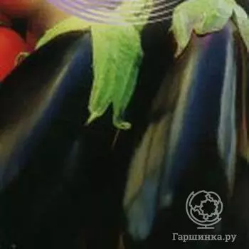 Семена Баклажан Черный красавец