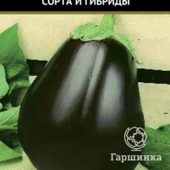 Семена Баклажан Черный красавец (А) 0,25, Поиск