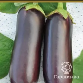 Семена Баклажан Диамант F1 (А) 12, Поиск