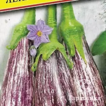 Семена Баклажан "Лейре" F1 3 шт, Престиж